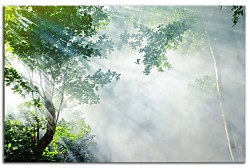 Obraz na stenu ZS - bez pomeru strán